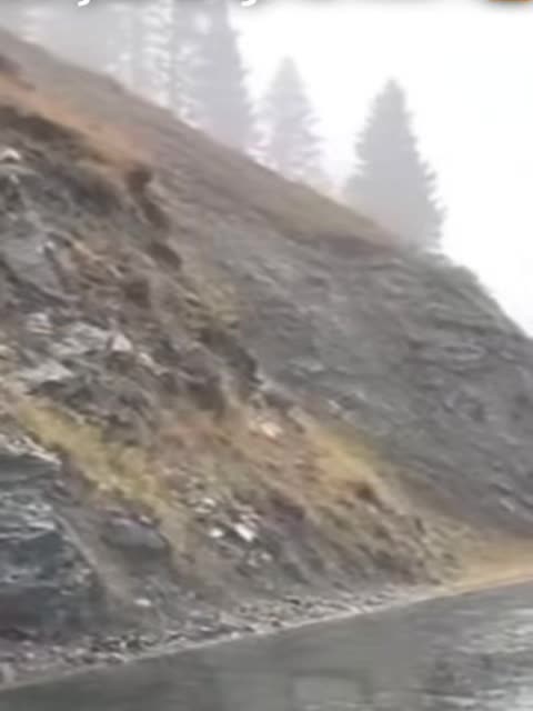 face plant funny